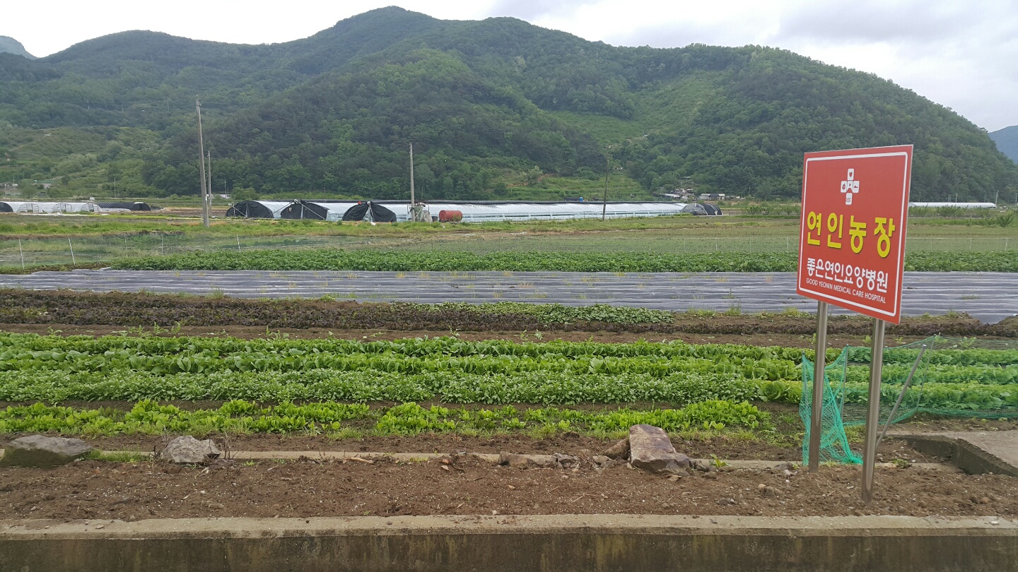 첨부파일