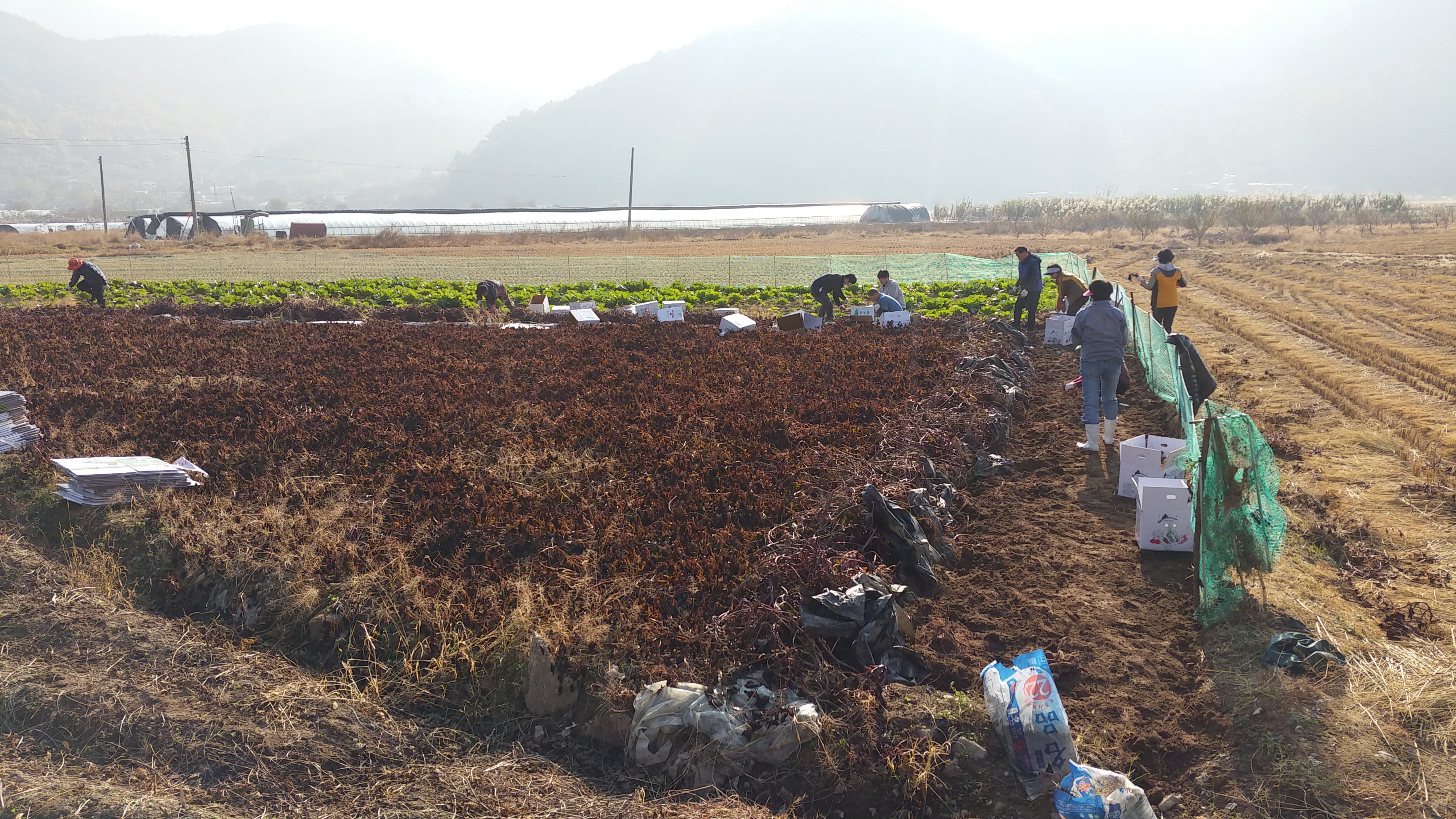 첨부파일