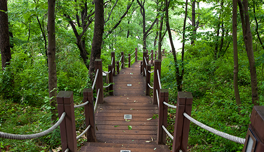 천태산 등산